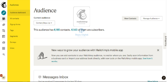 audience-mailchimp