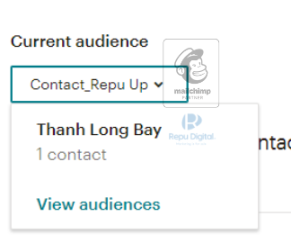 Audience-Mailchimp