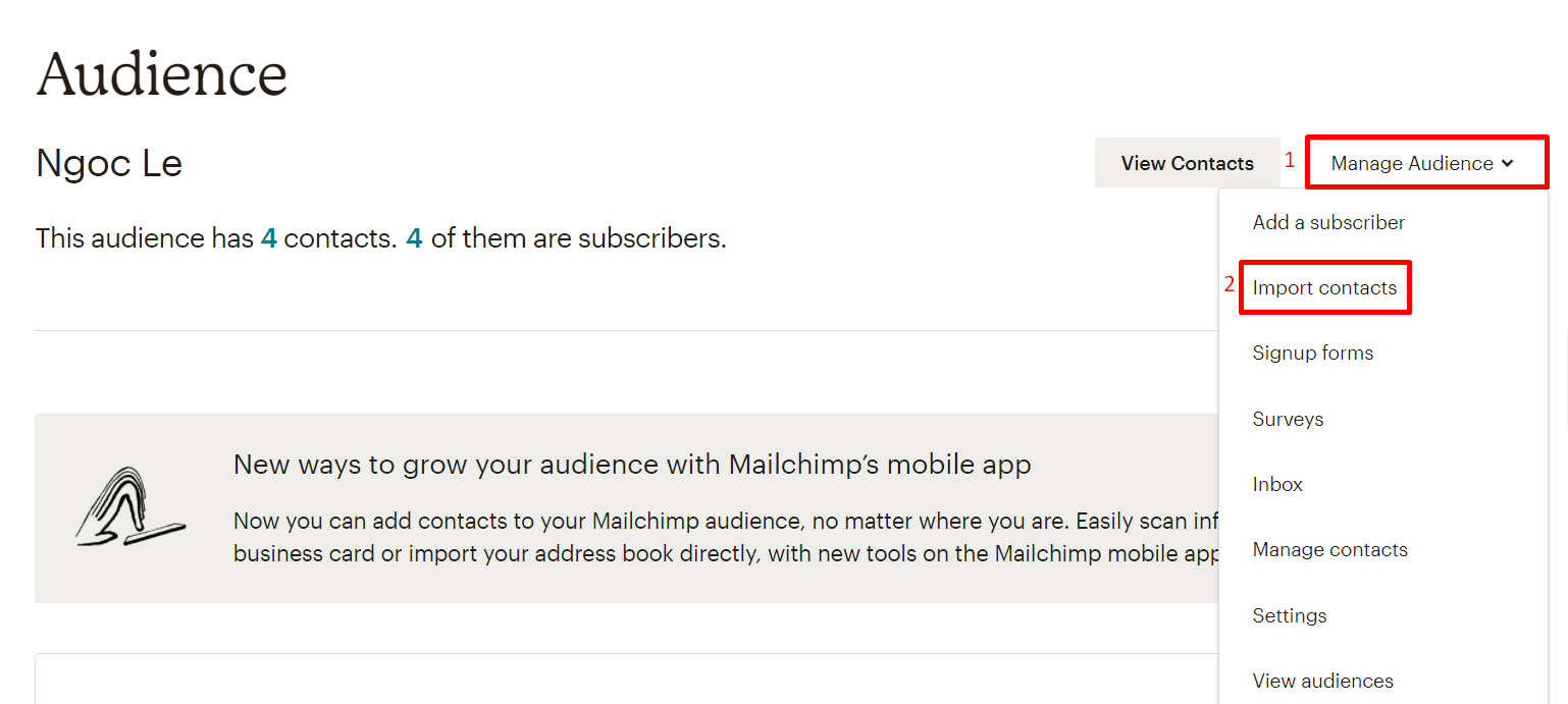 chon-import-contacts-Mailchimp