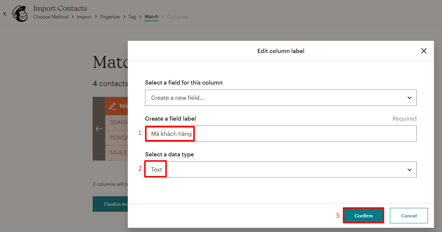import-contacts-Mailchimp
