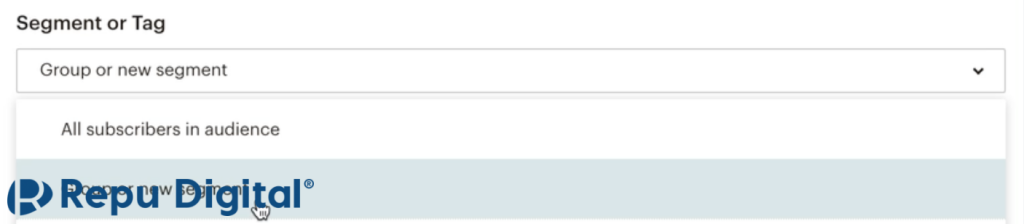 Lựa chọn tùy chọn phân khúc và nhóm
