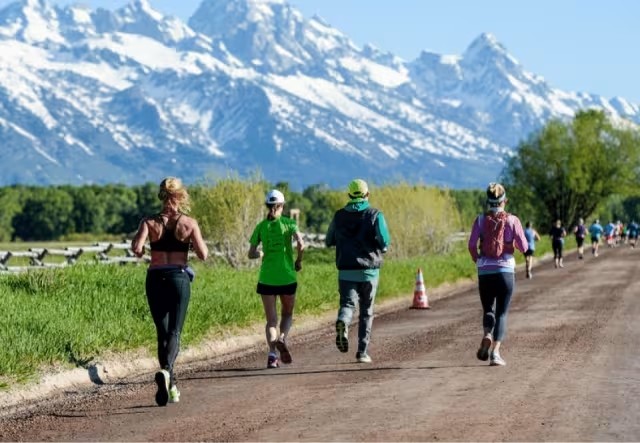 "Các công cụ báo cáo và bảng điều khiển chiến dịch của Mailchimp đóng vai trò quan trọng trong việc thúc đẩy tôi thay đổi chiến lược email của mình... Mailchimp giúp chúng tôi dễ dàng theo dõi hiệu suất và thực hiện thay đổi chiến lược hơn."